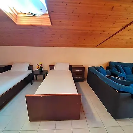 Flesvos 2*